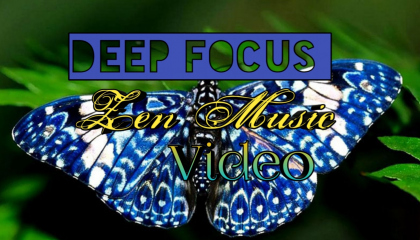 Best Zen music l Meditation music video for positive energy