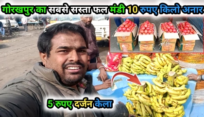 गोरखपुर का सबसे सस्ता फल मंडी  Gorakhpur fal Mandi  Navin fal Mandi Gorakhpur