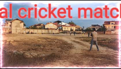 local cricket 🏏🏏🏏🏏🏏🦗🦗🦗