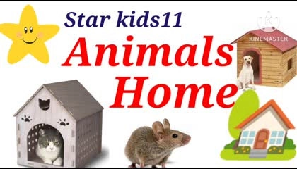 Animals Home With Pictures and spelling