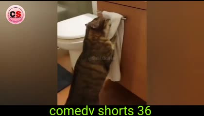 ?wait for ट्विस्ट ?@comedy shorts 36 comedy video