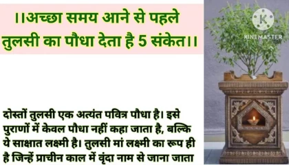 अच्छा समय आने से पहले तुलसी का पौधा देता है 5 संकेत vastutips @Rakhi ki Awaaz