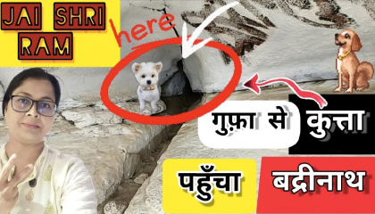 गुफ़ा से कुत्ता पहुॅंचा बद्रीनाथ धाम  Bhakti ‎ atoplay