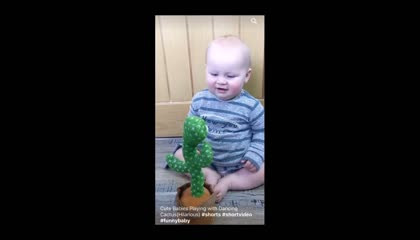 baby playing with cactus tree,  real entertainment vlogs,  weeping,  laughing