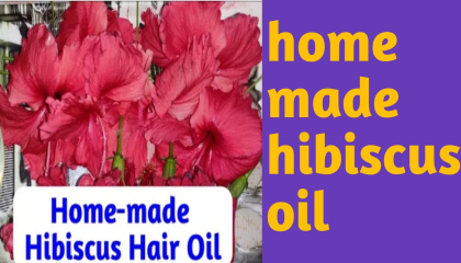 hibiscus oil for hair growth, hibiscus oil for homemade