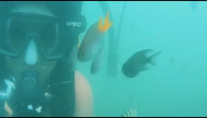 Scuba diving in Tarkarli malvan