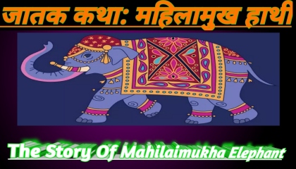 जातक कथा: महिलामुख हाथी  The Story Of Elephanthindi kahaniya viral