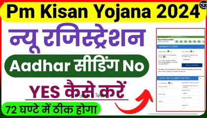 Pm Kisan Aadhar Bank Account Seeding Stutas No Problem  pm kisan new update