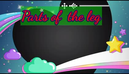 parts of the  leg in english / leg parts name in English/english speaking