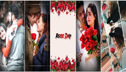 🌹Rose Day Status Editing  🌹Rose Day Video Editing 🌹Happy Rose Day status
