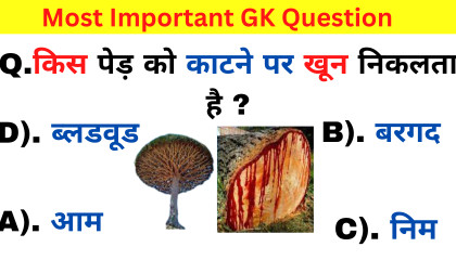 GK Question  GK In Hindi  GK Question and Answer  GK Quiz  Part 11
