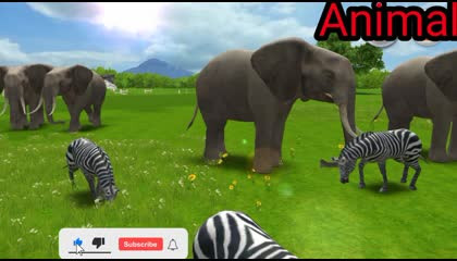 Elephant & Zebra animals