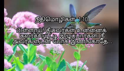 Today bible Verse in tamil