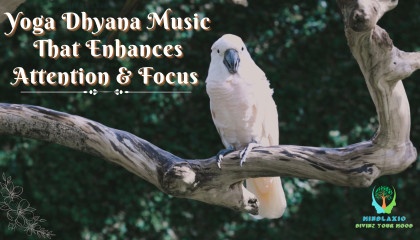 Yoga Dhyan Music That Enhances Attention & Focus