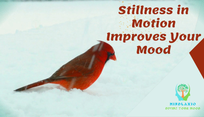 Stillness in Motion Improve Your Mood