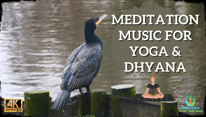 Meditation Music For Yoga & Dhyana
