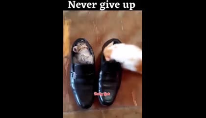 कभी भी हार नहीं मानना, Never Ever Give UP