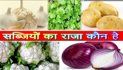 sabjiyo ka raja kaun hai  सब्जियों का राजा कौन है  surendra halwai / Food