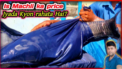 black carp Machli ka price Jyada Kyon rahata Hai