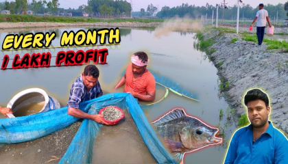 इस मछली की खेती कर महीने के लाखों कमाएं /new fish farming business ideas
