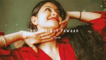 Tenu Na Bol Pawaan (Slowed+Reverb) Song