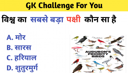 Top 10 GK QuestionAnd Answer In Hindi   GK  General Knowledge gkbyharsh gk