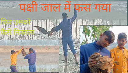 यह क्या हो गया 😥 Bhai Desi Rohit Vlog