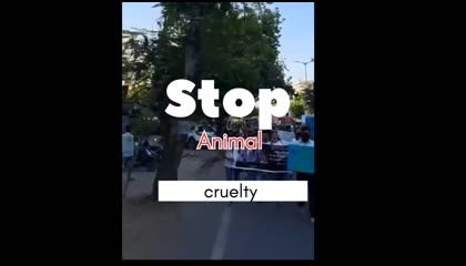 how to stop Animal Cruelty