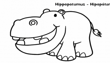 Hippopotamus colour drawing