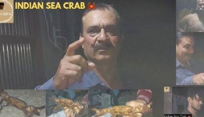 Indian Sea Crab 🦀
