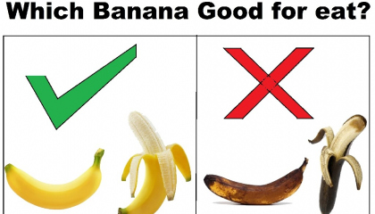 Which Banana good for eat ? ?✅
Banana Incept ?
