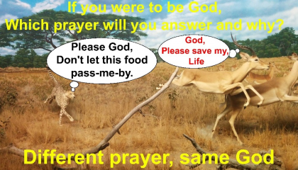 If you were to be God, 
which prayer will you answer and why?