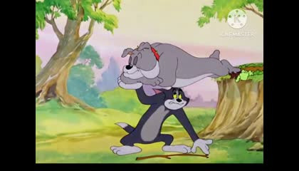 Tom and Jerry cartoon ??????