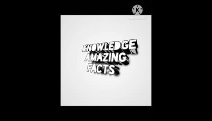 Knowledge Amazing Facts video