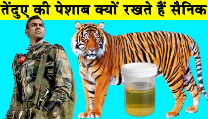 Indian Army क्यूँ Cheetah का पेशाब रखती है 🤔atoplaytrending