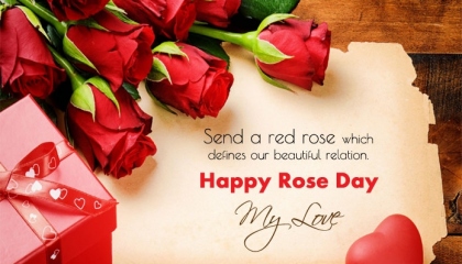 happy rose day in love 🌹🌹