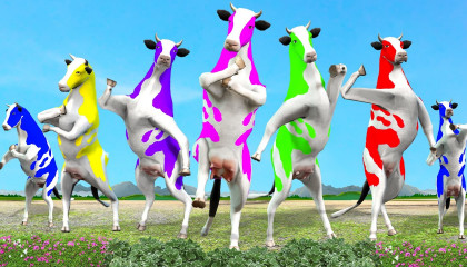 Cow Videos Dancing Cow 3D Animated Flying Cow