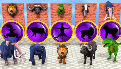 Choose The Right Mystery Shape And Right Wall Challenge With Elephant Cow Gorill