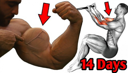 Top 8 Biceps Exercises To Get Bigger biceps
