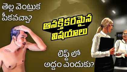 If you pluck gray hair  Why elevators or lift have mirrors  Telugu Facts
