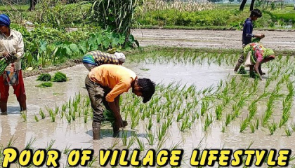Poor of Village Lifestyle Vlog 🙂  Farmer of village life style vlog
