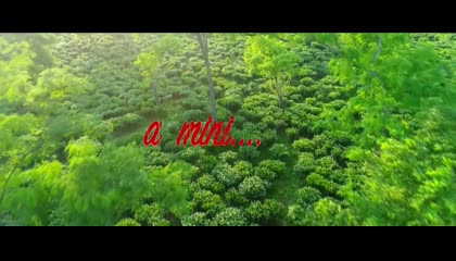 Assam video beautiful song