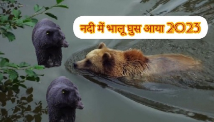 Nadi Mein Bhalu ghus Aaya?नदी में भालू घुस आया? हर हर महादेव?