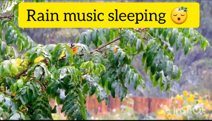 Rain music sleeping 💚💙💜🤎🖤🤍❤🧡💛💝