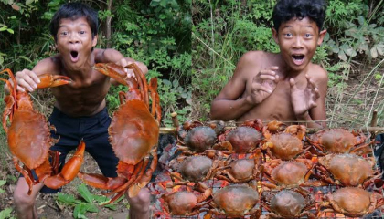 Primitive Technology - Meet crab & cooking recipe - Eating delicious