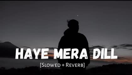 Haye mera dill  hindi lofi song  Slowed & Reverb
